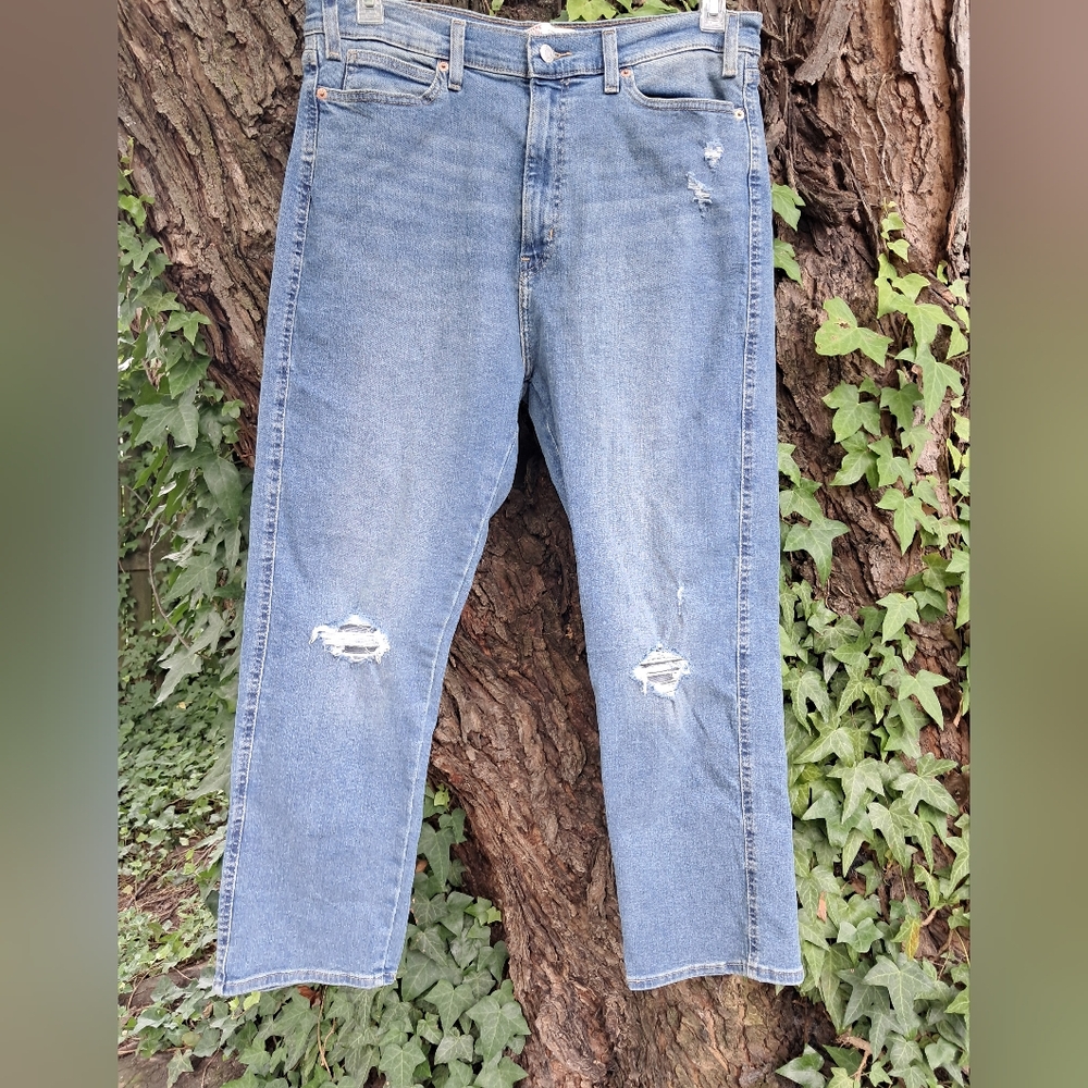 Women’s Signature Levi Strauss Heritage High Rise Straight Jeans Size 16 / W33